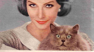 Gray Hair: "Your Most Flattering Color Of All!"